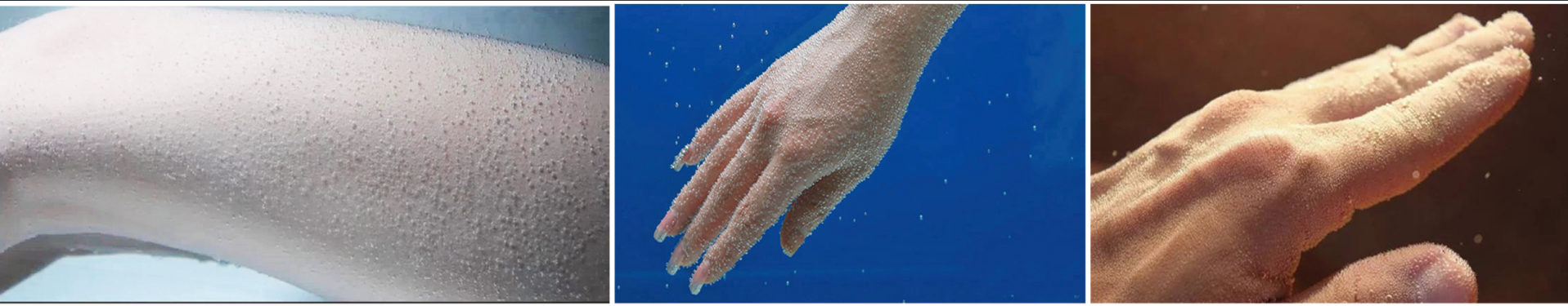 1724661080211280.png 1724661080211280.png