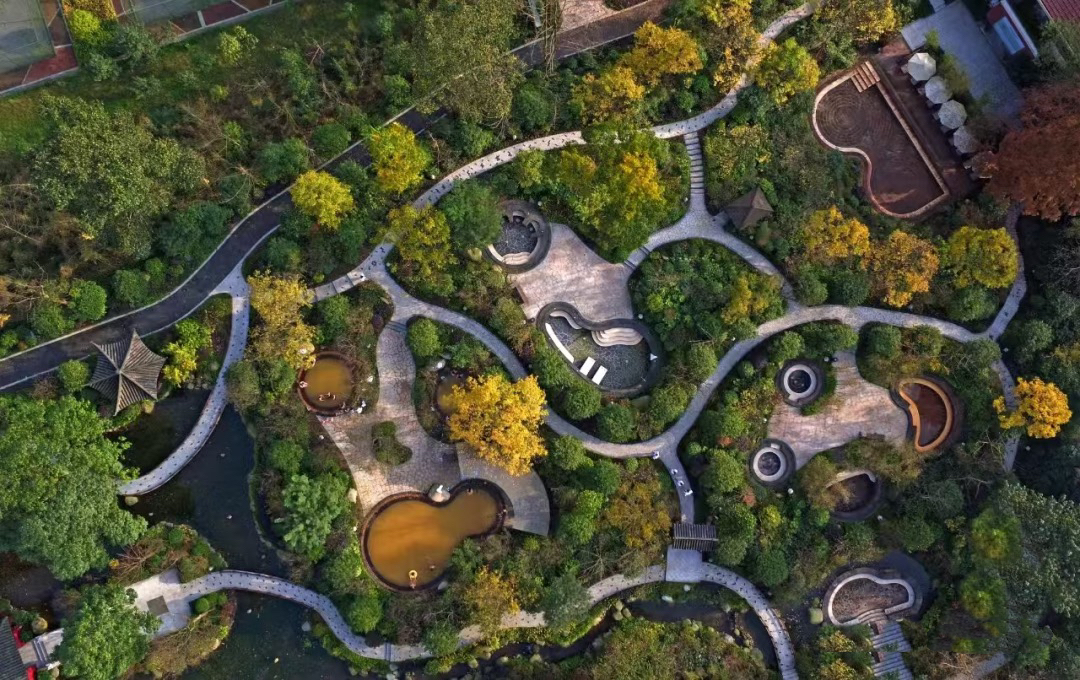 1758160928435321.jpg 2025_09_18_09_59_IMG_5945.JPG